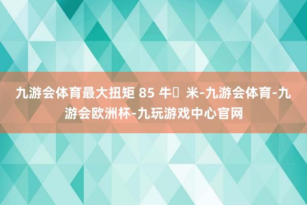 九游会体育最大扭矩 85 牛・米-九游会体育-九游会欧洲杯-九玩游戏中心官网