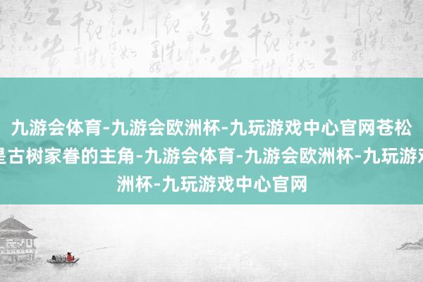 九游会体育-九游会欧洲杯-九玩游戏中心官网苍松翠柏长久是古树家眷的主角-九游会体育-九游会欧洲杯-九玩游戏中心官网