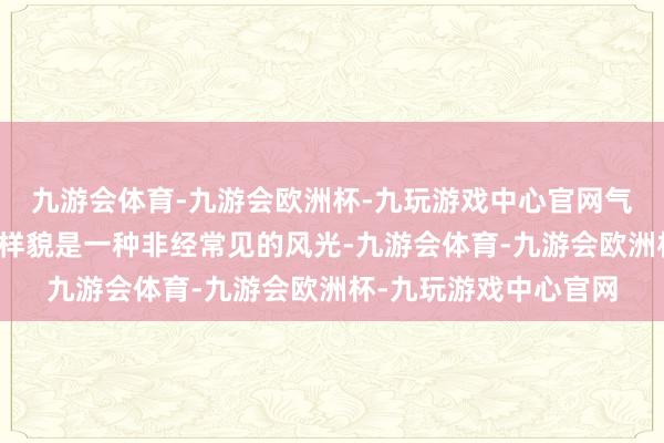 九游会体育-九游会欧洲杯-九玩游戏中心官网气谈欠亨畅引起腺样体样貌是一种非经常见的风光-九游会体育-九游会欧洲杯-九玩游戏中心官网