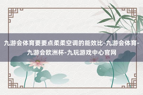 九游会体育要要点柔柔空调的能效比-九游会体育-九游会欧洲杯-九玩游戏中心官网