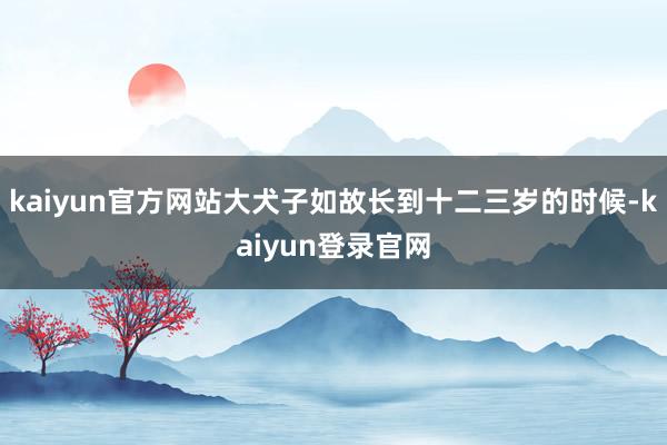 kaiyun官方网站大犬子如故长到十二三岁的时候-kaiyun登录官网