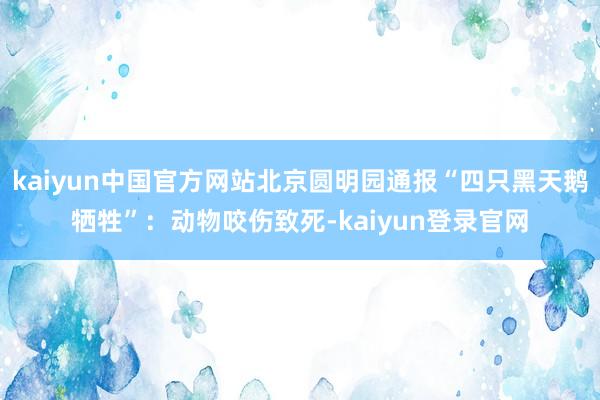 kaiyun中国官方网站北京圆明园通报“四只黑天鹅牺牲”：动物咬伤致死-kaiyun登录官网