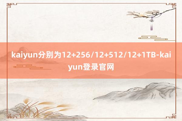 kaiyun分别为12+256/12+512/12+1TB-kaiyun登录官网